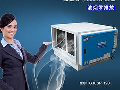 专业供应武汉油烟净化设备专卖_广东划算的武汉油烟净化器