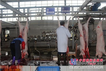 南宁专业的宰猪场：想买南宁生猪定点屠宰上新又鲜畜禽