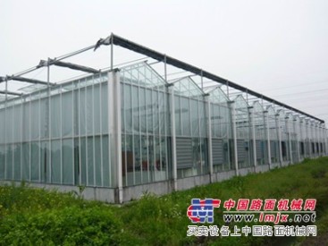 菏泽日光温室大棚，供应优质的无主柱日光温室大棚搭建上哪找