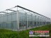菏泽日光温室大棚，供应优质的无主柱日光温室大棚搭建上哪找