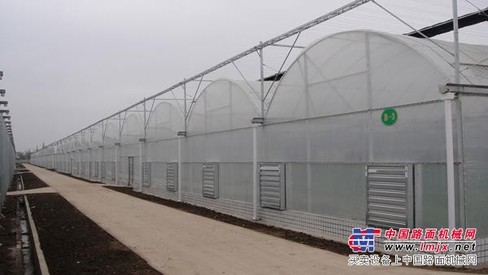 新型智能温室承建 找可靠的新型智能温室建设就到盛腾温室工程