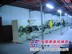 价位合理的马桶坐垫机【供应】，专业马桶坐垫机代理加盟