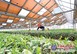 【get好厂家】山西+陕西【阳光板温室建造、日光温室建造、冬暖大棚建造】=海盛