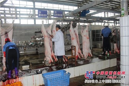 好的广西生猪指定屠宰场服务商哪里找_广西屠宰场