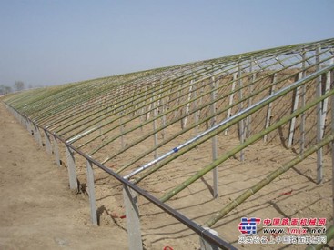 山东有立柱大棚建造 超值的日光温室大棚推荐