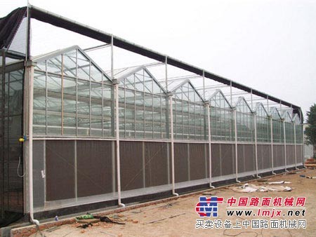 高質量的陽光板大棚建造就在佳通溫室|山東陽光板溫室