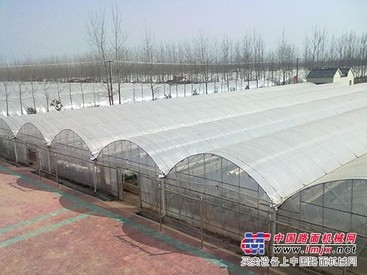 哪儿有合格的拱棚建设——拱棚建设厂家