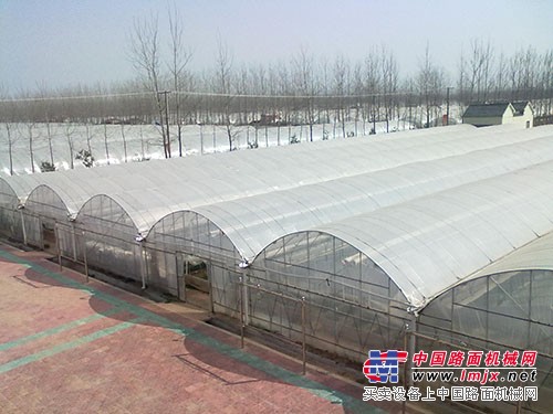 拱棚建设