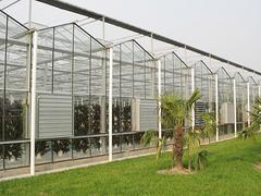 专业的智能温室大棚建设——具有口碑的智能温室大棚建设，哪里有卖