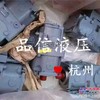 供应力士乐A11VLO130混凝土泵车主油泵齿轮泵