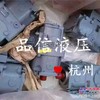 供应力士乐A11VLO130混凝土泵车主油泵齿轮泵