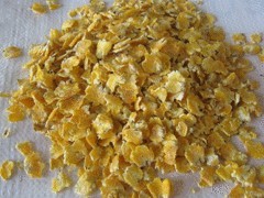 潍坊优质的肉牛养殖玉米压片供应，供应肉牛养殖玉米压片