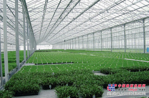 阳光板温室大棚