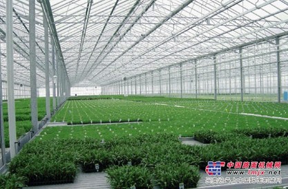 莆田阳光板温室大棚：想建阳光板温室大棚就到家彬温室大棚