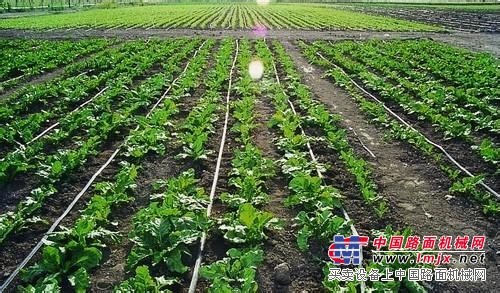 潍坊价格实惠的滴灌带出售：滴灌带厂家