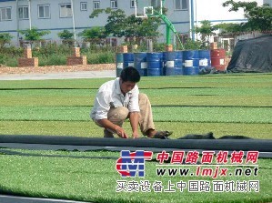 甘肃亿伦建材高品质的人造草坪批发 白银人造草坪