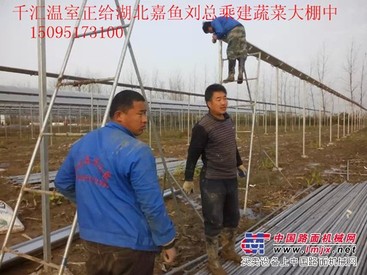 连栋温室大棚建设 山东优质的薄膜温室大棚建造/推荐/薄膜温室大棚/大棚材料