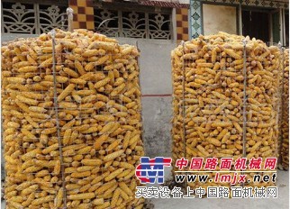 上海订制圈玉米网多少钱