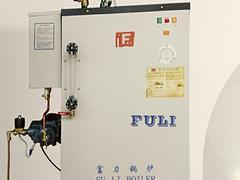优质深圳锅炉——优惠的富力牌电加热蒸汽锅炉供应信息