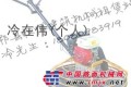 郫县恒博建筑机械租赁站对外出租混凝土磨光机/混凝土抹光机