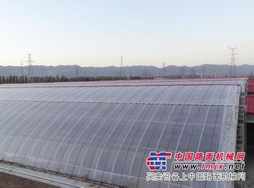 日光温室大棚建造技术哪家好——承建日光温室