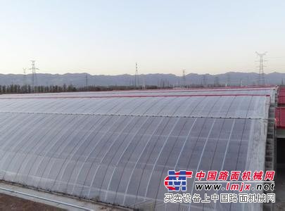 日光温室大棚建造