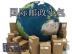 便捷的国际小包汇鹏国际货运供应：国际小包