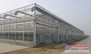 【高！】简易温室大棚加工【日光温室大棚建设价格】花卉温室大棚多少钱