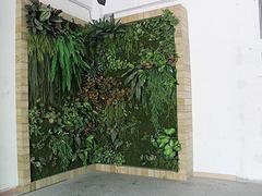 兴卉园艺场专业提供高仿真植物墙制造 中国绿植墙