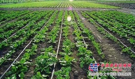 潍坊哪里有卖价格适中的大田滴灌带——专业的大田滴灌带