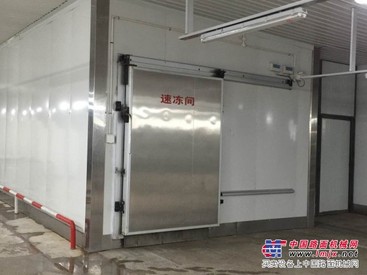 潍坊物超所值的速冻机哪里买——速冻机制造商