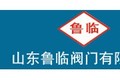 山东鲁临阀门有限公司