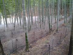 漳州灌溉工程——优质的灌溉设备福州哪里有