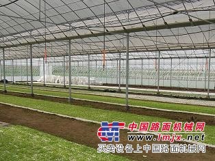 【精精精！】温室大棚配件厂家【温室大棚配件批发】日光温室大棚建设