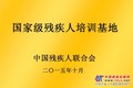 残疾人培训/河南省炳良电子商务有限公司