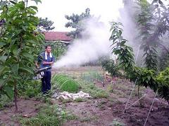 泽钿机械提供优质的果树喷雾器|果树喷雾器怎么操作