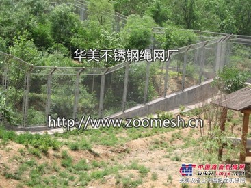 河北不锈钢丝绳网|在哪能买到上等不锈钢丝绳网