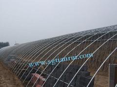 花卉温室大棚建设：山东实用的温室大棚