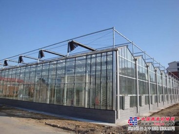 价位合理的阳光板温室大棚|福建实用的阳光板温室大棚