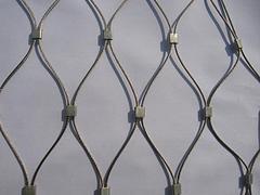 川鑫丝网提供衡水地区具有口碑的不锈钢钢丝绳网 钢丝绳网销售中