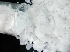 知名的99片碱经销商|99片碱批发
