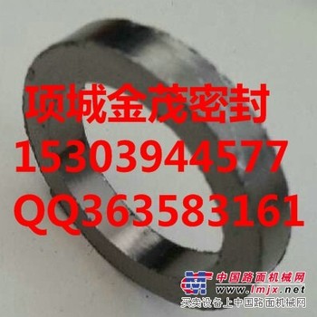 自密封石墨填料环