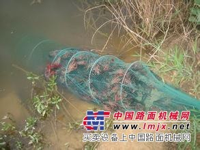 【买！买！买】水蛭养殖围网湖南厂家，价格如何？铭湾