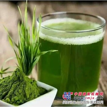 呀麦苗青汁能减肥吗-临沂市玲大商贸