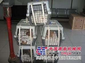 舟山宠物托运|[杭州]口碑好的杭州宠物托运