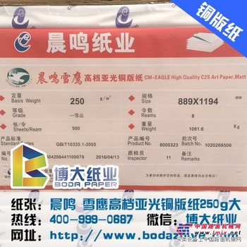 个性250g亚光铜版纸晨鸣雪鹰铜版纸——潍坊优质的晨鸣雪鹰铜版纸行情