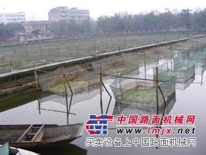 铭湾厂家直销大量优质泥鳅养殖围网，价格实在，不忽悠