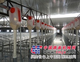 养猪料线价格——市场上优质的养猪料线在哪里可以找到