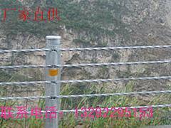 河北知名的缆索护栏供应商当属川鑫丝网_优质热镀钢丝绳护栏