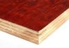 河北建筑红板——廊坊地区具有口碑的松木面模板